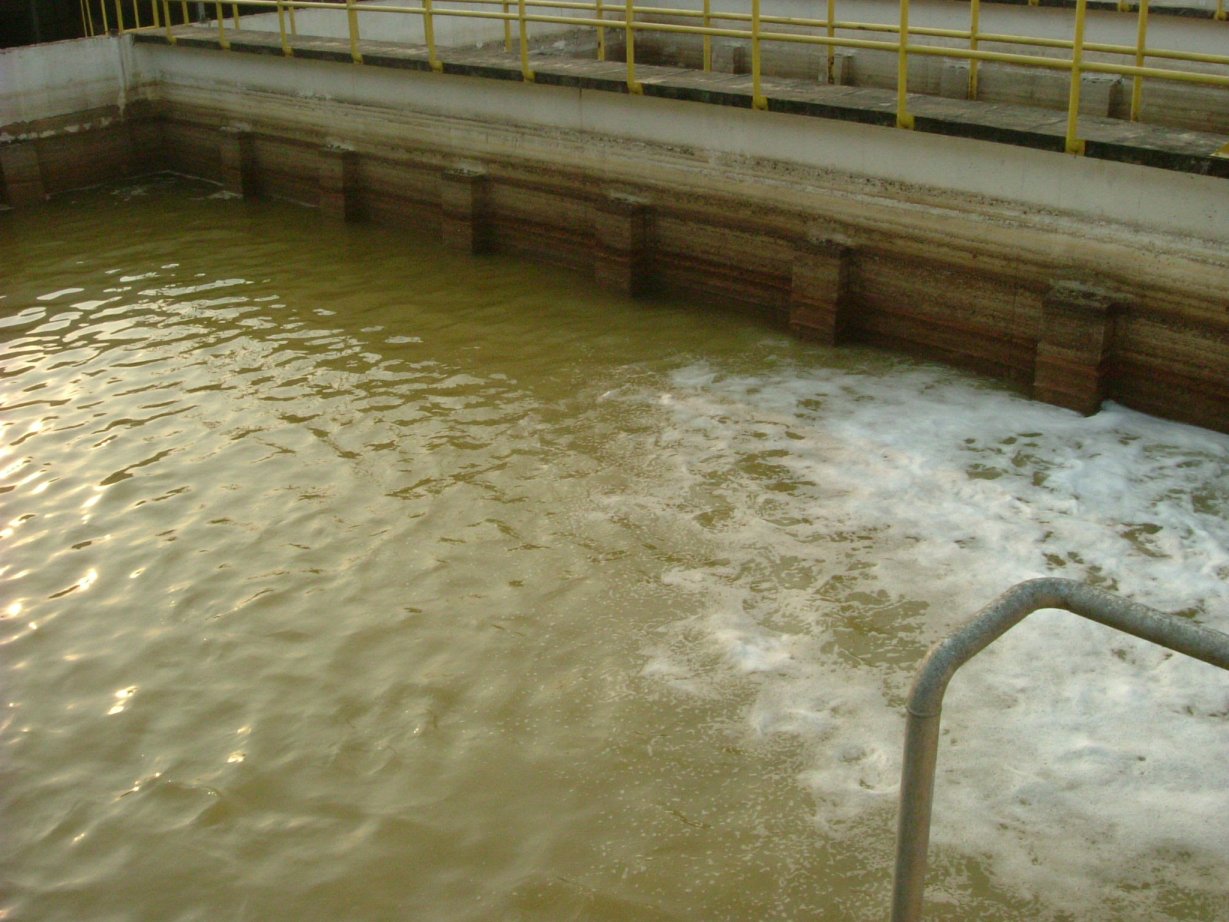 Image017